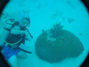 On a scuba-diving adventure as a coral reef mate, Claggett encountered a brain coral in the Alligator Reef off the coast of Florida.