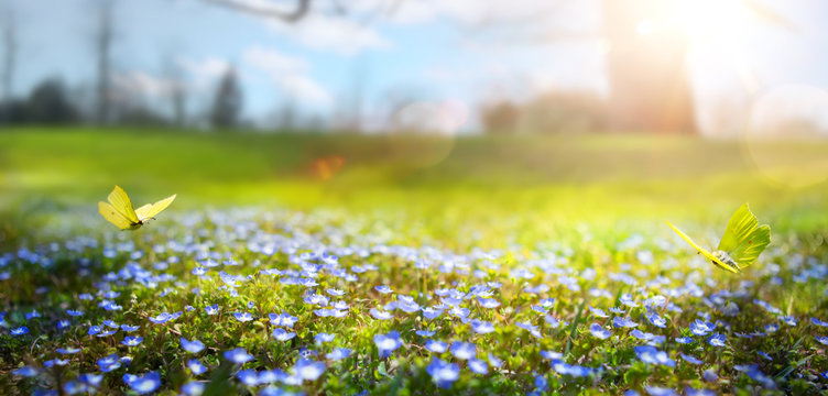 Springing Into Spring