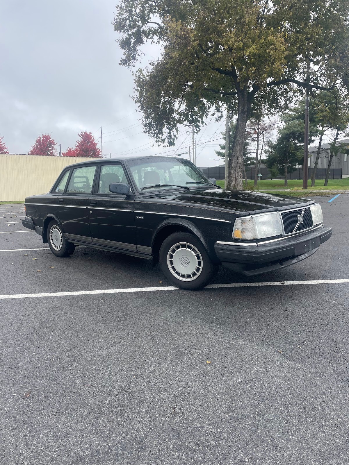 Swede Dreams are Made of This: 1993 Volvo 240 DL, owned by Leigh Wingfeld