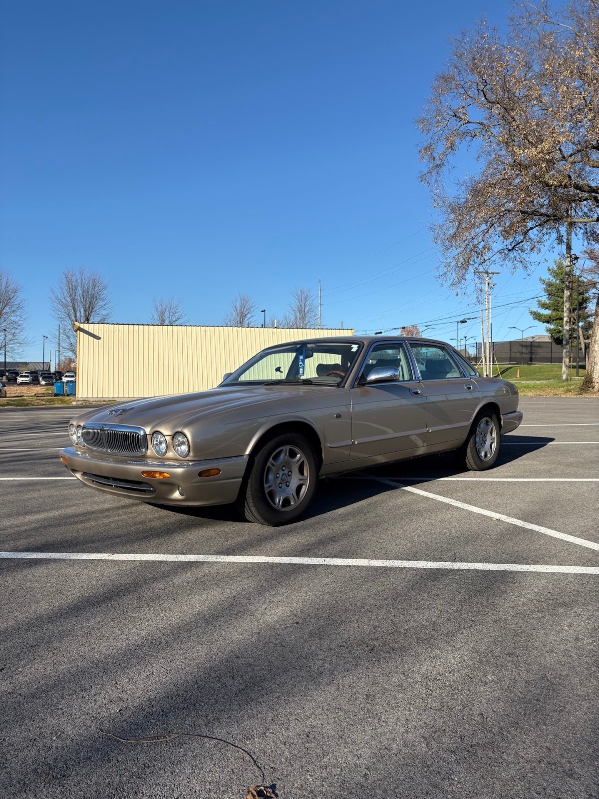 Not for Commoners: 2003 Jaguar XJ8 V8